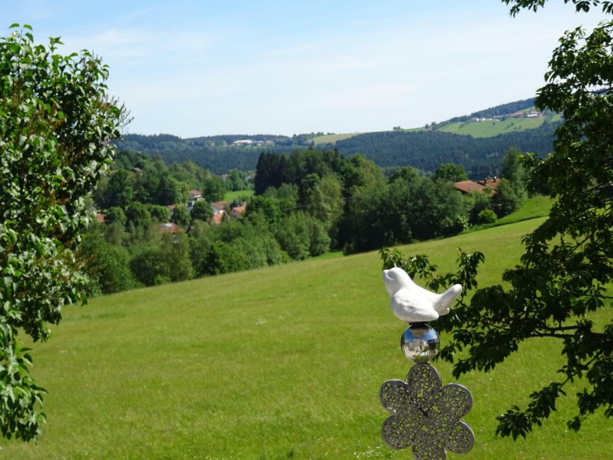 Fewo Gabi Neuschönau Buitenkant foto