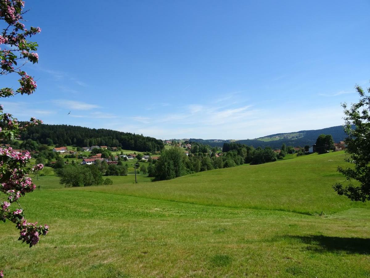 Fewo Gabi Neuschönau Buitenkant foto